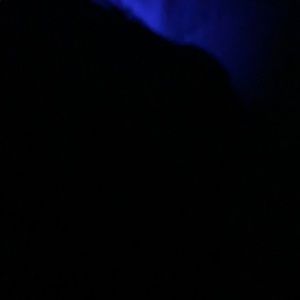 Meet your Posher, Martin